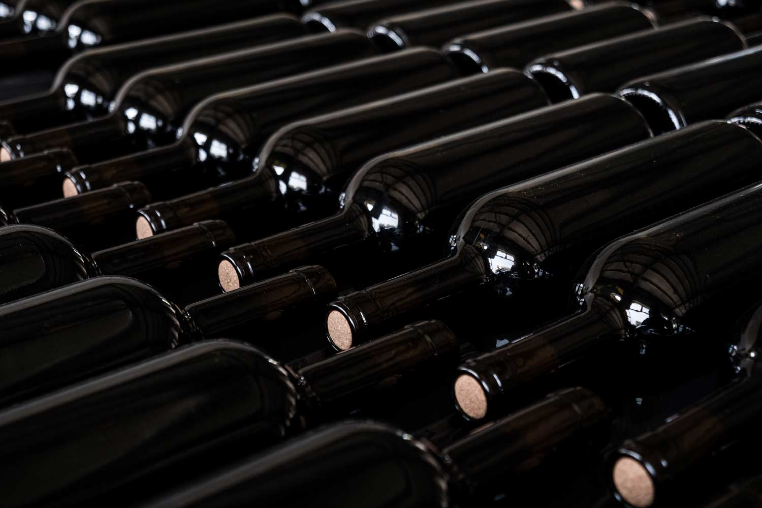 Members Favourite Wines