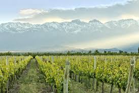 Alexis Teillay, House of Townend - Wines of Argentina and Chile