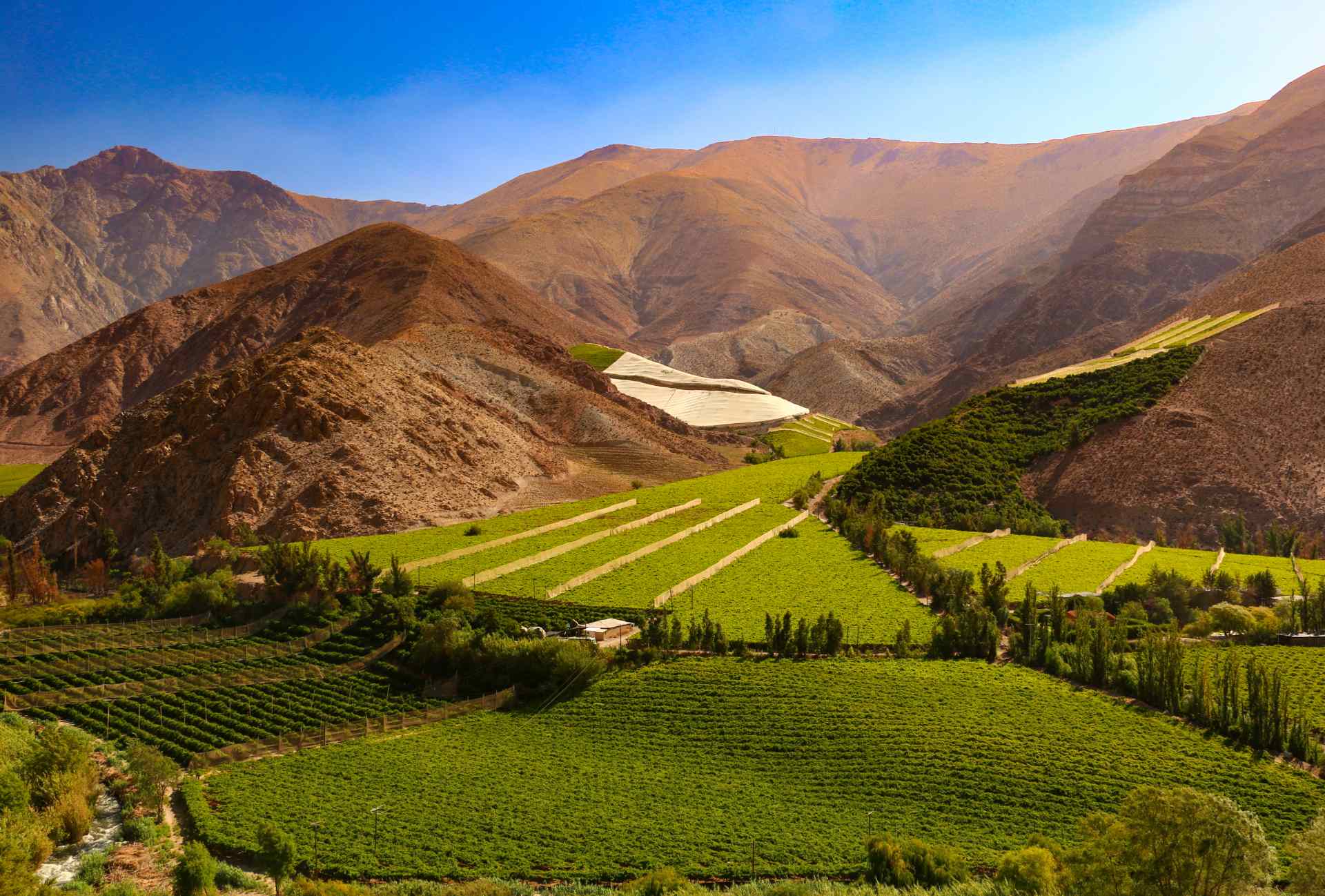 Michael Hayton, Yorkshire Vintners - South American Wines